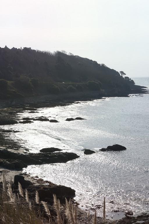Park View Townhouse Hotel Falmouth Exterior foto